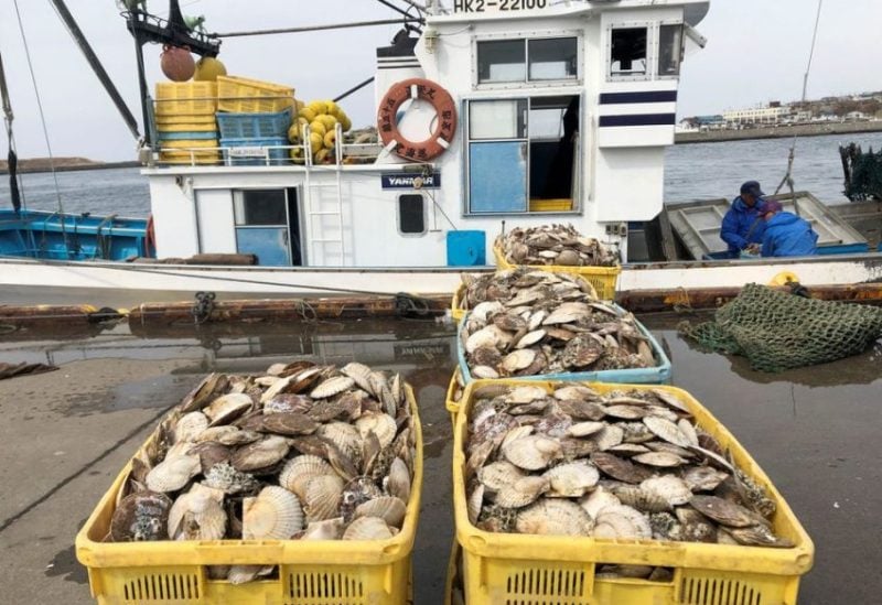 Fishermen land scallops at Nemuro Port, in Nemuro on Japan's northern island of Hokkaido April 12, 2022. REUTERS