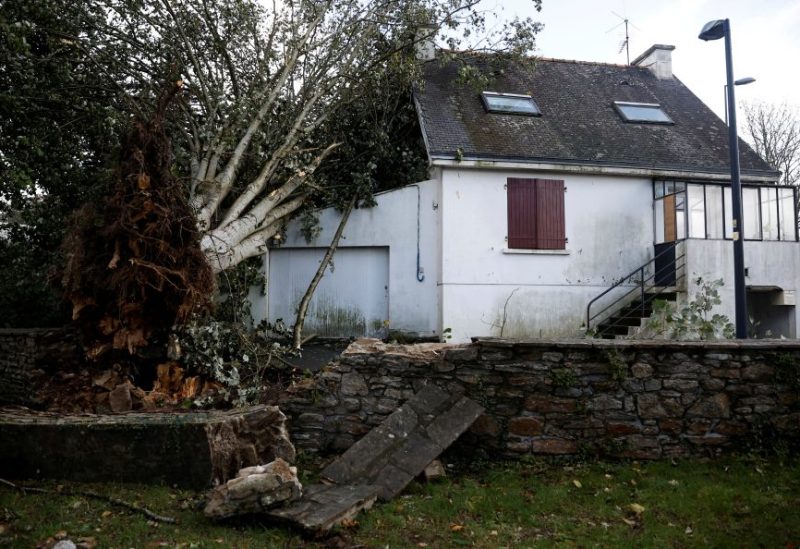 A fallen tree is seen on a house during Storm Ciaran in Quimperle, Brittany, France, November 2, 2023. REUTERS/Stephane Mahe