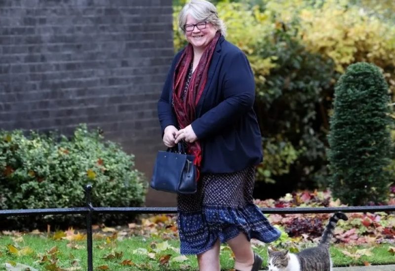 Britain's former Environment Secretary Therese Coffey walks outside 10 Downing Street next to Larry the cat, in London, Britain November 13, 2023.